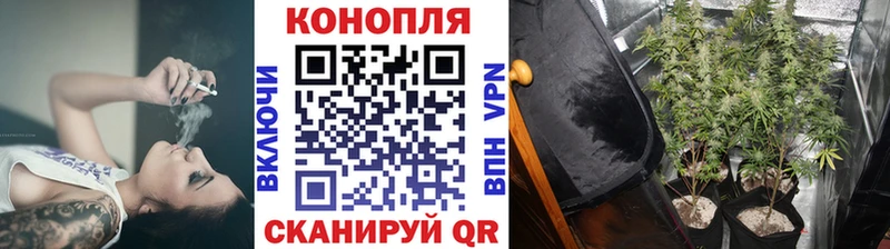 Шишки марихуана гибрид Мантурово